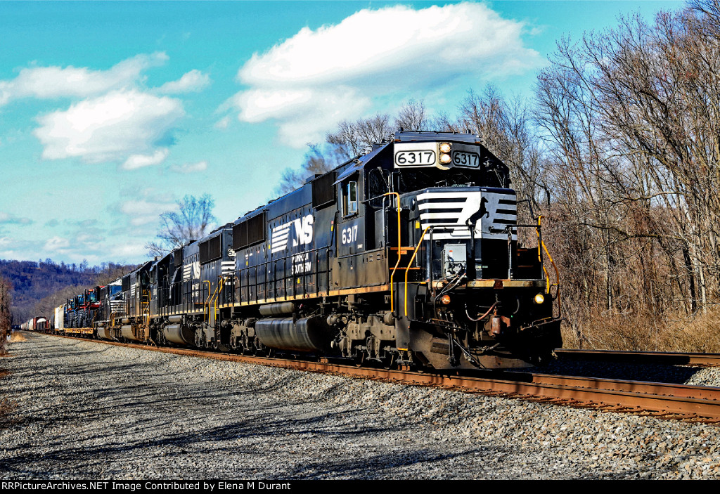 NS 6317 on 14G